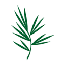 Pine Acres Realty logo