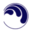 Blue Ocean Vacation Rentals logo