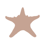 Five Star Properties Hilton Head logo