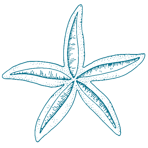 Starfish Vacation Rentals logo